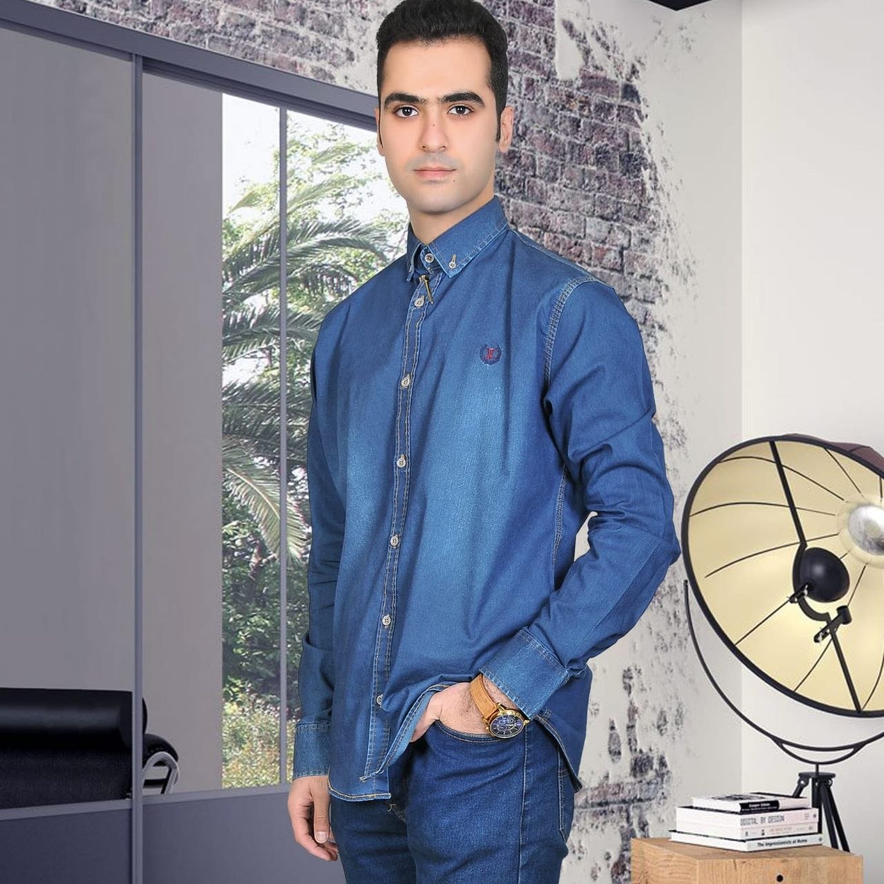 آرین پیره بابائی